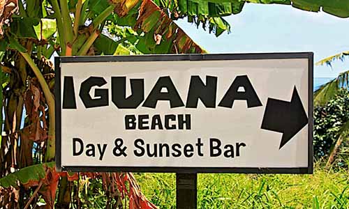 Iguana beach club phuket