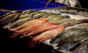 fish market phuket